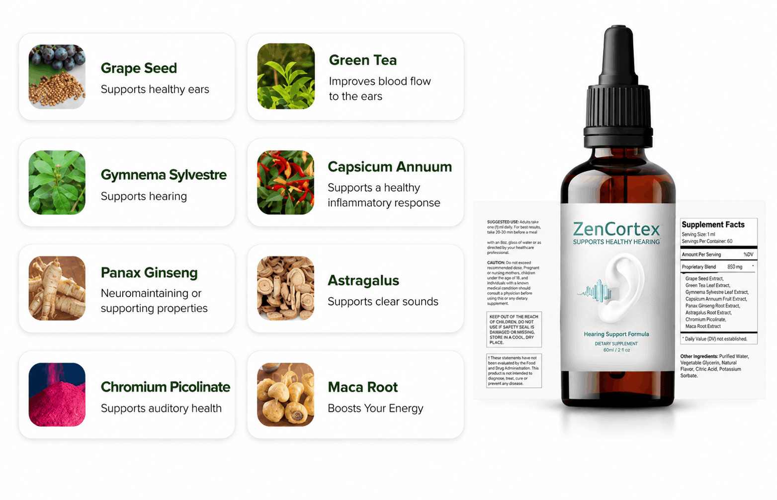 zencortex 